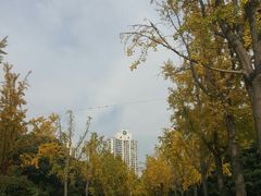 -苏州河梦清园环保主题公园