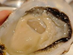 法国皇家大卫赫夫生蚝-Oyster Talks 四度蚝法餐厅