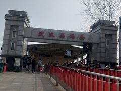 -武汉关码头(轮渡站)