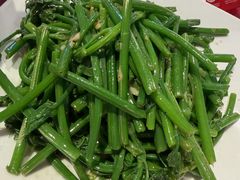 佛手瓜苗-粤北餐馆