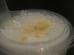 -MAMACHA妈妈茶(海信店)