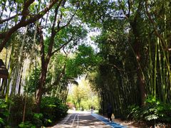 -苏州河梦清园环保主题公园