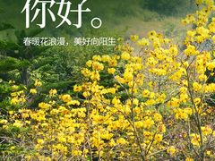 -丹樱生态园