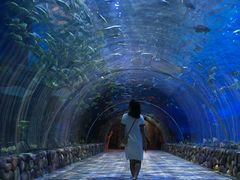 -华夏文旅海洋公园