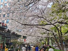 -玛格萝妮比萨屋(四平店)