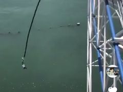 -星海蹦极娱乐