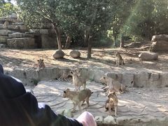 -常州淹城野生动物世界