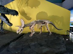 -湖南省地质博物馆