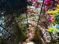 -The Grounds of Alexandria