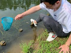 -前小桔亲子创意农场·草莓采摘·露营烧烤