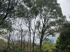 -灵秀温泉