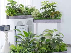 -张记竹升面(桂林路店)