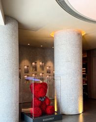 -VELEE·SPA高定疗愈会所