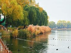 -郭守敬纪念馆