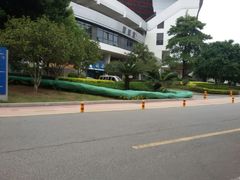 -福建省奥林匹克体育中心-体育馆