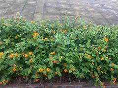 -重庆平顶山公园