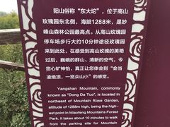 -阳台山自然风景区