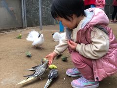 -呀路古热带植物园