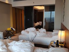 -广州奥园喜来登酒店