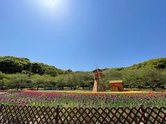-苏州上方山国家森林公园