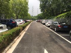 -张江微电子港·地面停车场