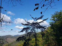 -天女山森林公园