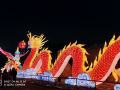 -武汉园博园(武汉自然博物馆)