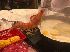 -鲜入围煮花胶鸡海鲜火锅