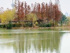 -南通濠河风景名胜区