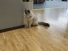 -上海浦东smart汽车全功能店(金桥店)