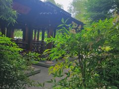 -武汉园博园(武汉自然博物馆)