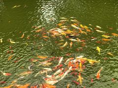 -建水文庙