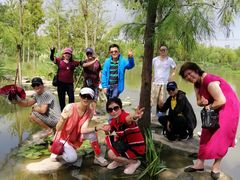 -上海长兴岛郊野公园