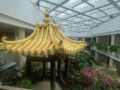 -白天鹅宾馆-玉堂春暖餐厅
