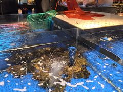 -上和臻品中国菜(花园街店)