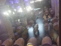 -北京张裕爱斐堡酒庄
