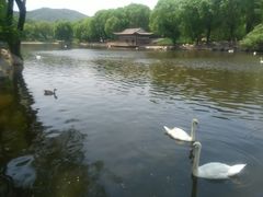 -石家庄市动物园