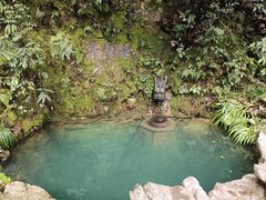 -十八棵（老龙井）御茶园(老龙井店)