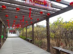 -白马涧龙池景区