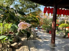 -龙华寺