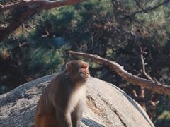 -崂山仰口游览区