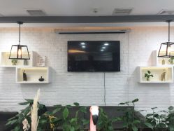 -YESIDO椰岛造型