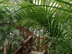 -石家庄市植物园