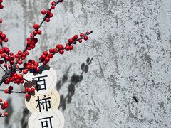 -喜柿咖啡SeeS coffee