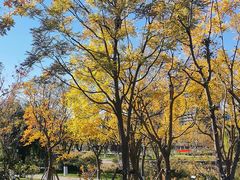 -西海子公园
