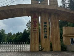 -五营国家森林公园