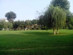 人民公园-绵阳人民公园(涪城区)