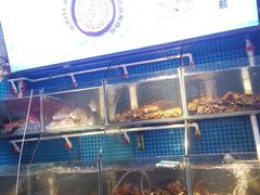 -船奇蒸汽海鲜·闽菜(八市海鲜总店)