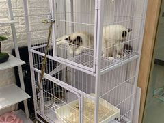 -iF摄影•全家福•证件照•形象照(南山店)