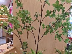 -华记煲仔华·煲仔饭(三元里万科里店)